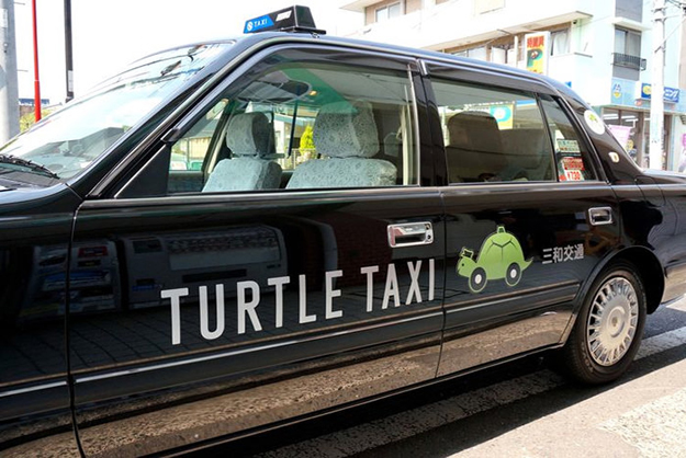 Turtle Taxi