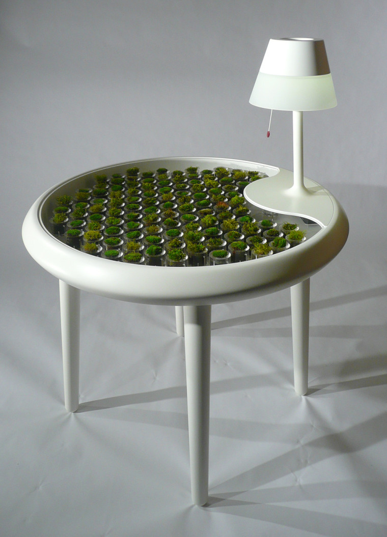 The Moss Table