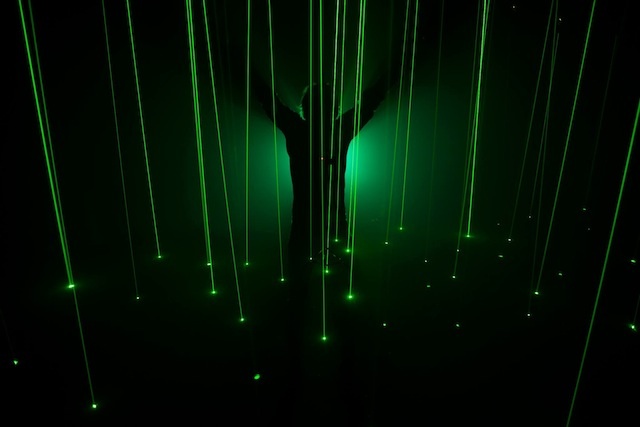 Laser Bamboo Forest