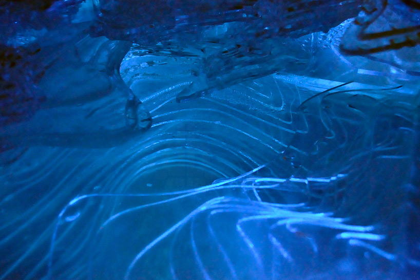 Algae glow blue in a bio-digital ecosystem