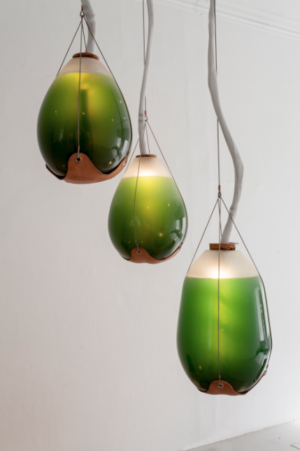 Furnish your home with green glowing algae