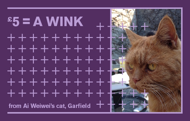 A wink from Ai Weiwei's cat for a fiver