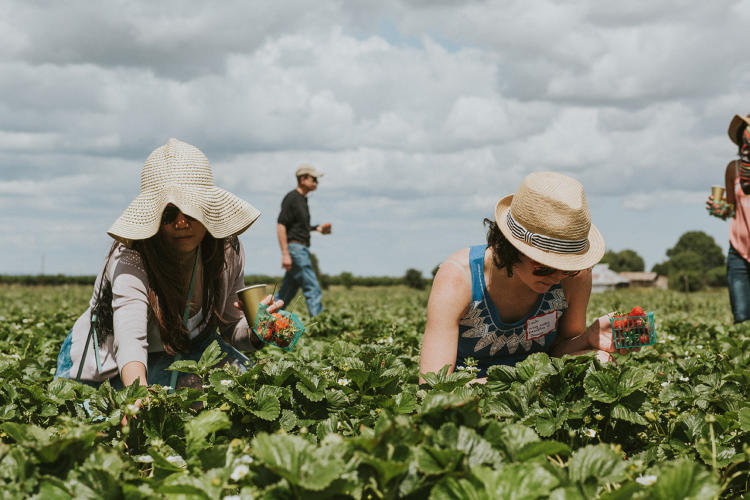 Farmcation Want to Reconnect Consumers With Their Food