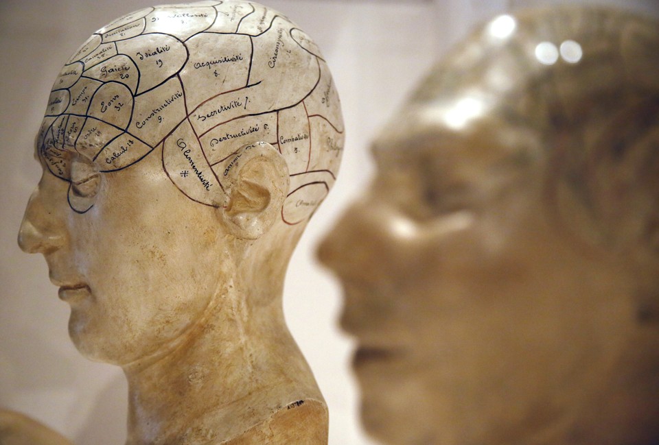 A New Theory Explains How Consciousness Evolved