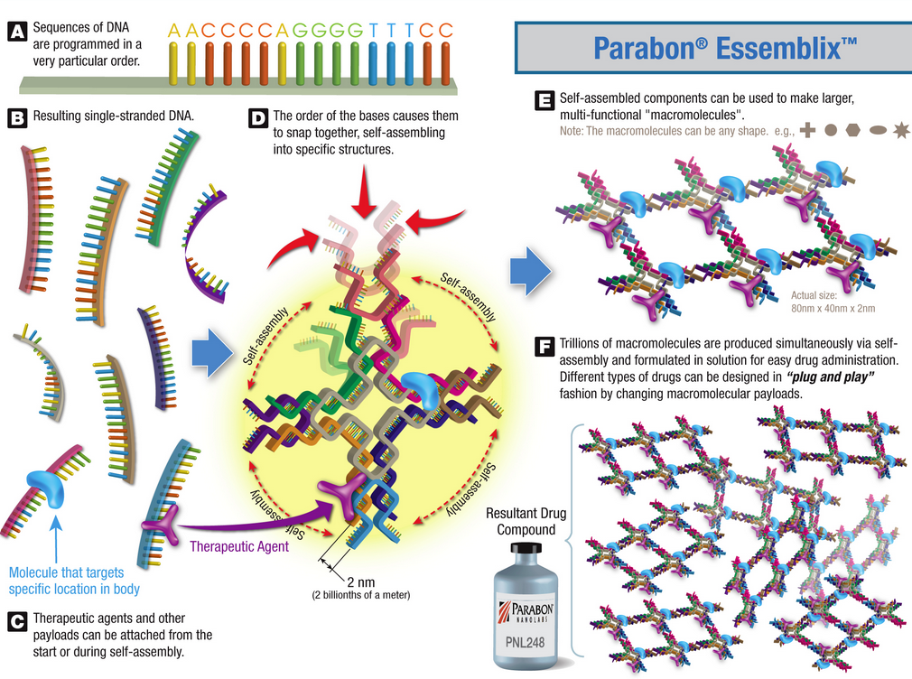 Nano - fabricating Drugs with DNA