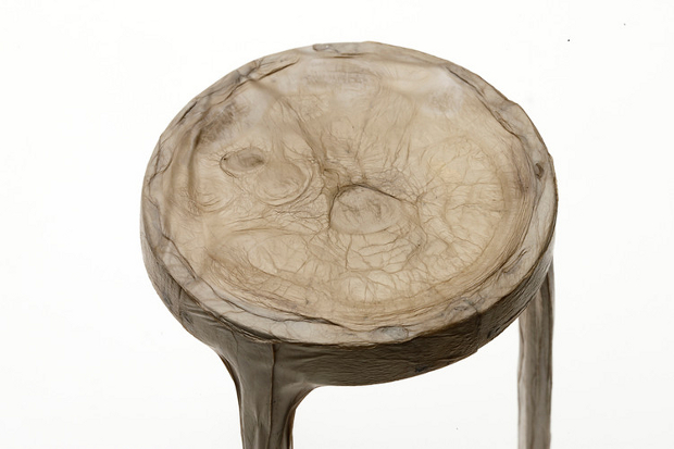 Xylinum Stool