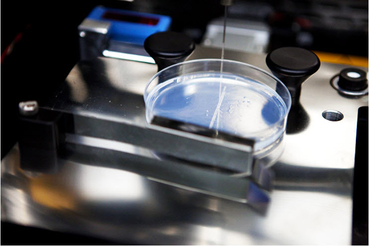 Inkjet Bioprinting