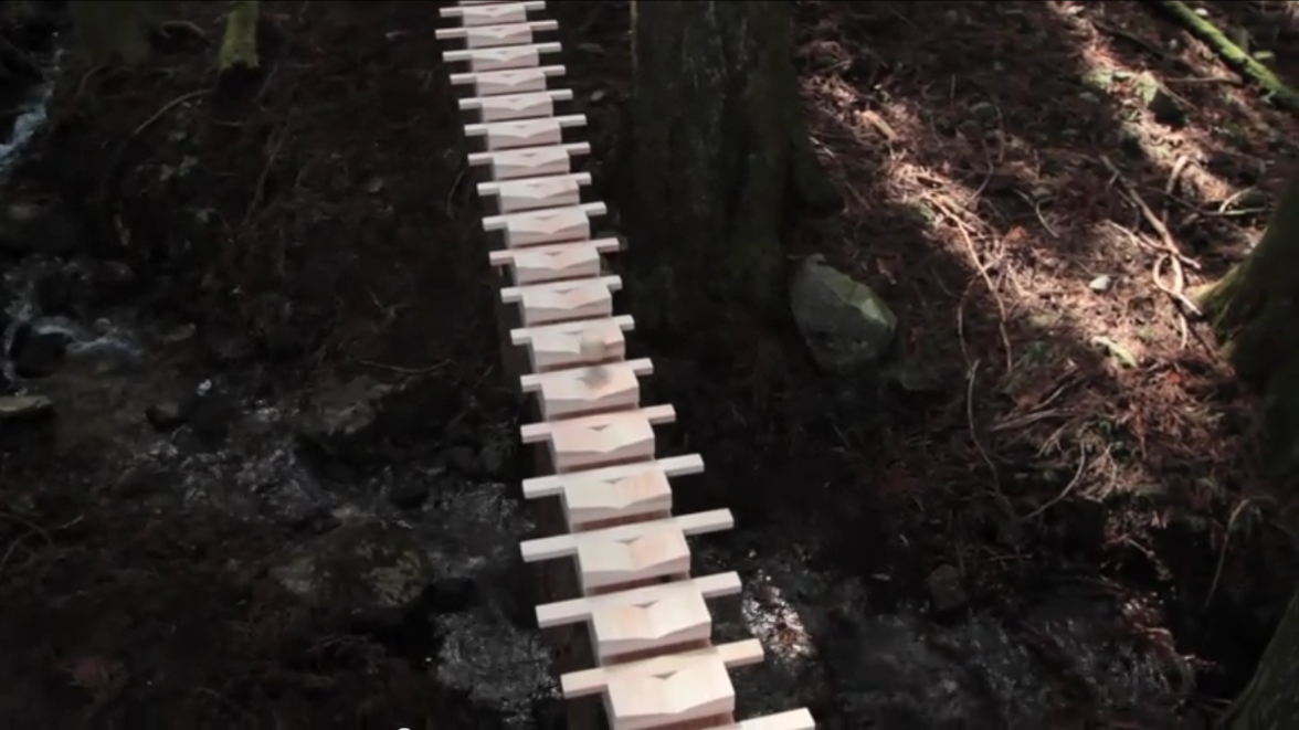 Forest Xylophone