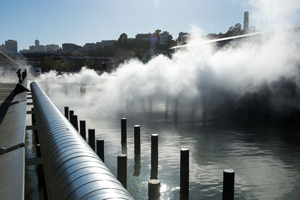 Fog Bridge