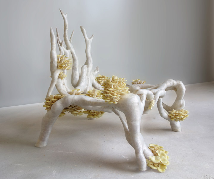 Mycelium Chair